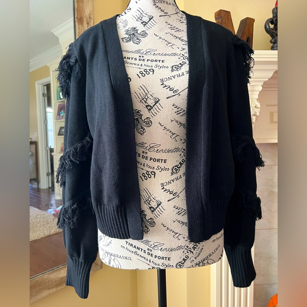 Ellison cardigan sweater w fringe sleeves